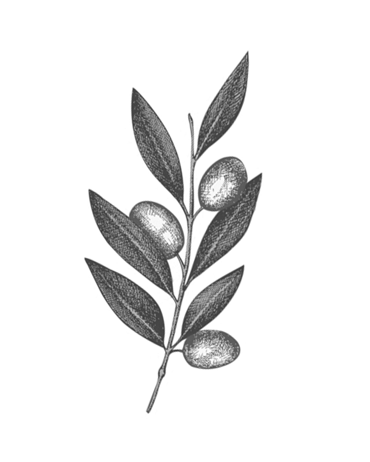 Culinary Journeys Belmond Great Taste Adventures