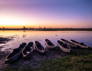 Dawn Safaris, Okavango Delta