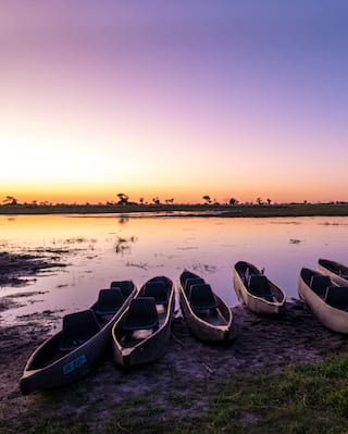 Canoes at dawn in the Okavango Delta 