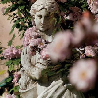 A weathered marble statue of a gently smiling goddess peeks through the soft pink flowers of a climbing rose