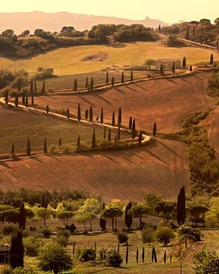 In the late Tuscan sun, a snaking road with cypress pillars carves through the olive and bronze fields of Crete Senesi.