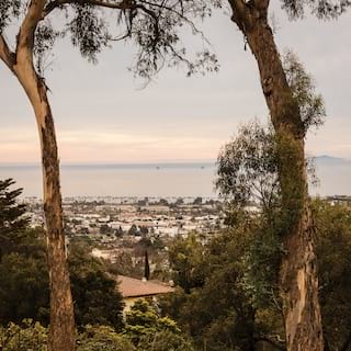 Two tall trees with views of Santa Barbara and the Pacific Ocean beyond