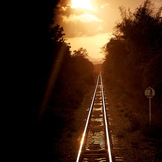 Sunlight catching on metal train tracks that stretch into the distance