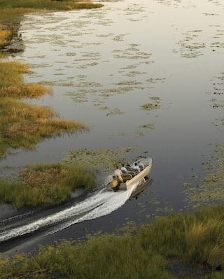 Aerial view of a motorised safari boat zipping across a river delta